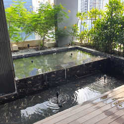 The Peak @ Cairnhill II (D9), Apartment #453132301